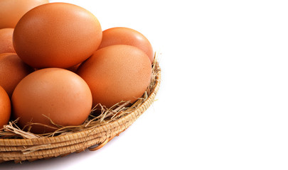 chicken eggs