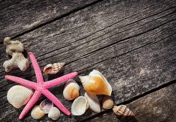 Sea shells on wooden background