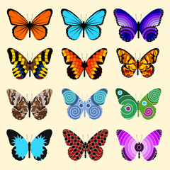 Fototapeta na wymiar Set Of Butterflies, isolated vector illustration