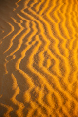 the brown sand dune  sahara morocco desert