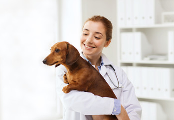 happy doctor with dog at vet clinic - obrazy, fototapety, plakaty
