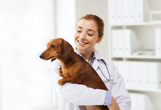 happy doctor with dog at vet clinic
