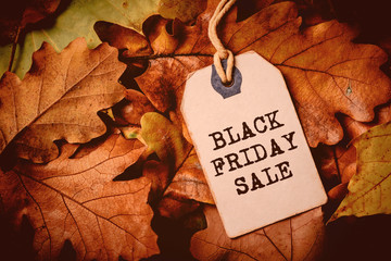 Price tag from with twine on dry autumn leaves background