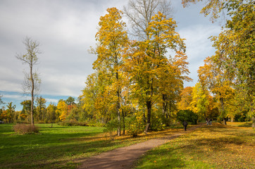 Autumn landscape  in the Alexander Park, Tsarskoye Selo, Saint-Petersburg, Russia
.
