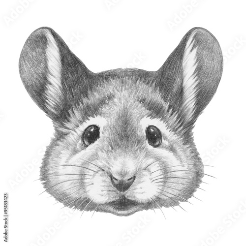 "Portrait of Mouse. Hand drawn illustration." Stock photo and royalty