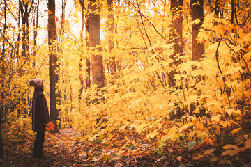 Woman with fallen leaves in the autumn forest