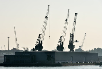 Fototapeta premium sea cargo port large cranes