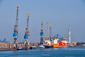 Fototapeta premium Rotterdam sea cargo port skyline