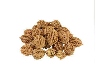 Walnuts White Background