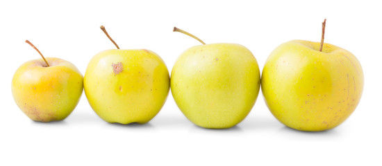 Four Yellow Apples With Stalk