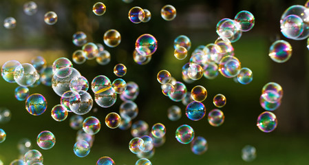 Soap bubbles