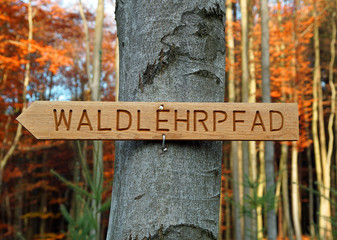 Waldlehrpfad Tafel - Schild