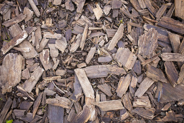 Wood chips.