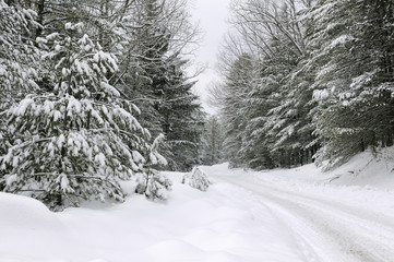 Snow Covered Road