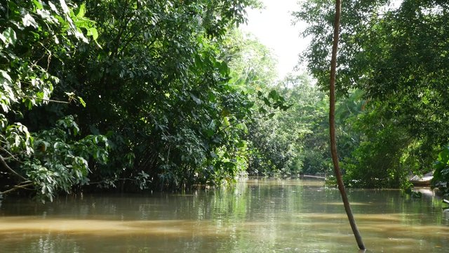 Point of View of a Boat Travel on Amazon River in Belem do Para, Brazil