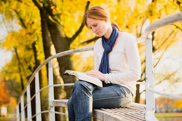 Bible Study in a Park
