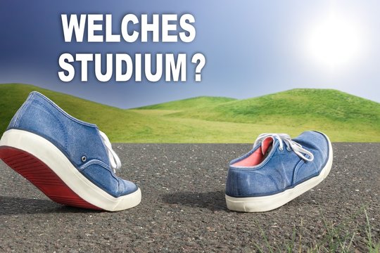 Welches Studium?