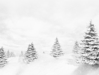 Naklejka premium Snowy winter landscape 