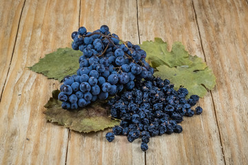 black grapes and raisins on a green vine leaves
