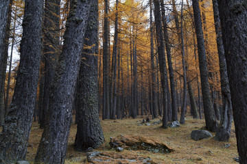 montagna