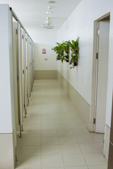 restroom and a tree leaf, toilet, Public restroom