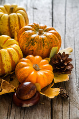 Thanksgiving decorations on rustic background