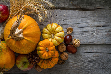 Thanksgiving decorations on rustic background