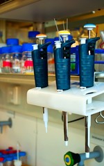  Laboratory pipettes hanging on a rack
