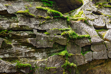 stone with moss