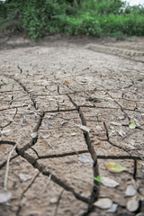 land with dry cracked ground