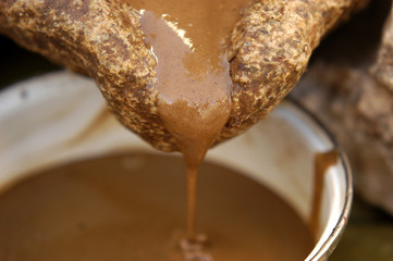 Huile d'argan et arganier