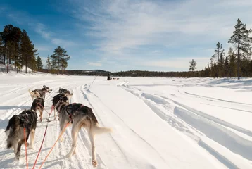 Schilderijen op glas Dog sledding across Swedish Lapland in winter © simonprbenson