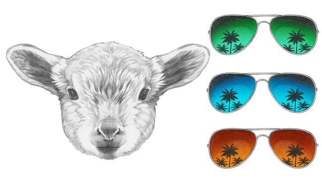 Portrait of Lamb with mirror sunglasses. Hand drawn illustration.