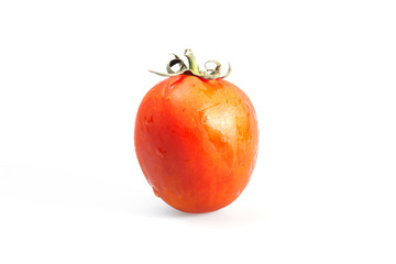 Fresh Tomato
