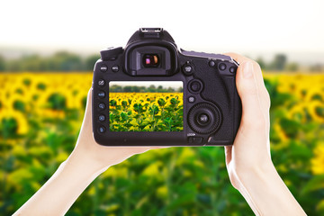 Photographer with camera at work