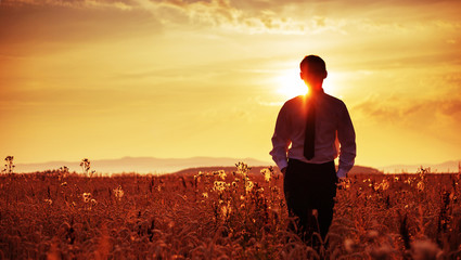 Tired businessman walking among the corn ears © konradbak