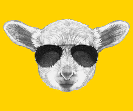 Portrait of Lamb with sunglasses. Hand drawn illustration. 