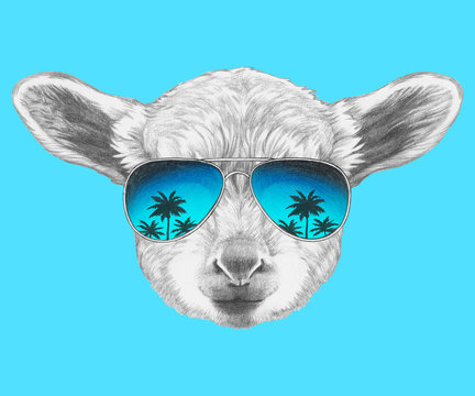 Portrait of Lamb with mirror sunglasses. Hand drawn illustration. 