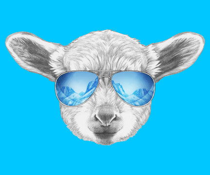 Portrait of Lamb with mirror sunglasses. Hand drawn illustration. 