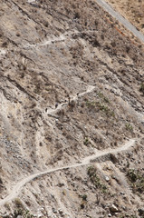 Camino del cañón del Colca
