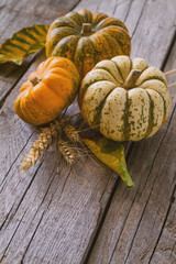 Selection of pumpkins, wheat