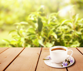 Cup of tea on wooden table, on nature background