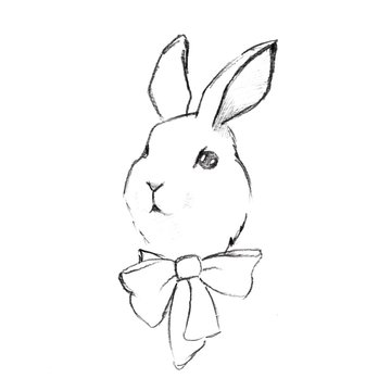 Rabbit pencil sketch 1