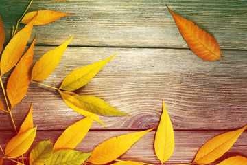 Fototapeta na wymiar Autumn leaves on wooden background