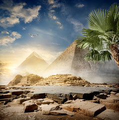Plakat Fog around pyramids