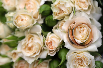 Beautiful flowers closeup