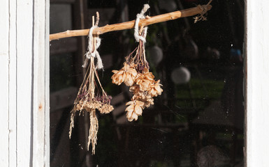 Dry bouquets hanging behind window in Finland