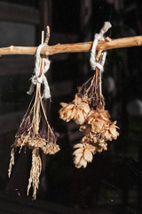 Dry bouquets hanging behind the window