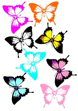 A collection of colorful butterflies. More Swallowtails butterflies in variety of colors.