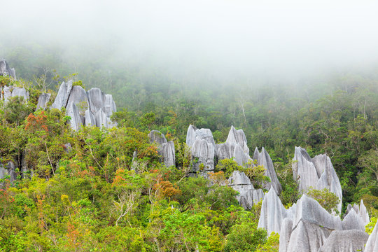 Limestone Pinnacles At Gunung Mulu National Park